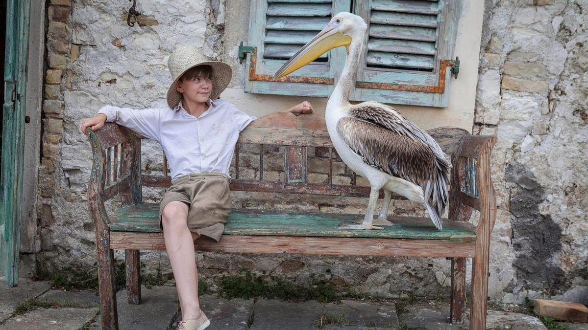 Кадр из сериала «Дарреллы» (The Durrells)